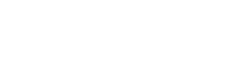 Pioneer Prestige